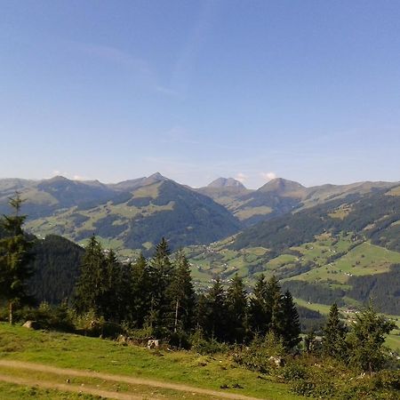 Hotel Alpenhof Kirchberg in Tirol Exterior foto