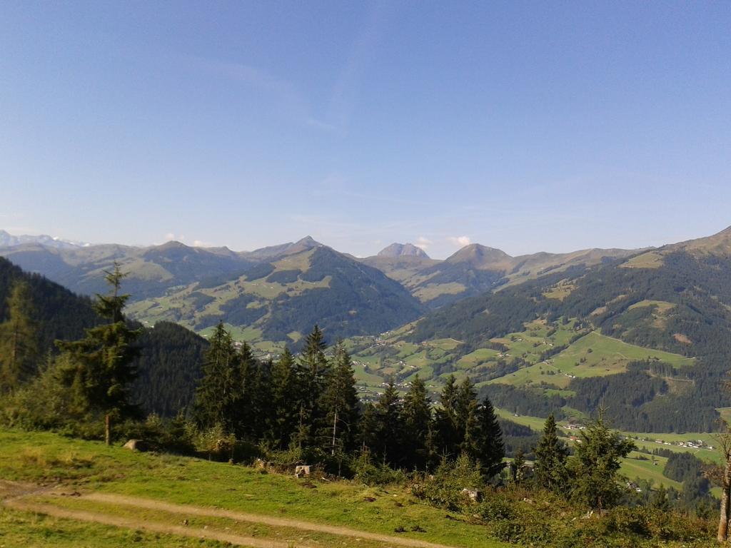 Hotel Alpenhof Kirchberg in Tirol Exterior foto